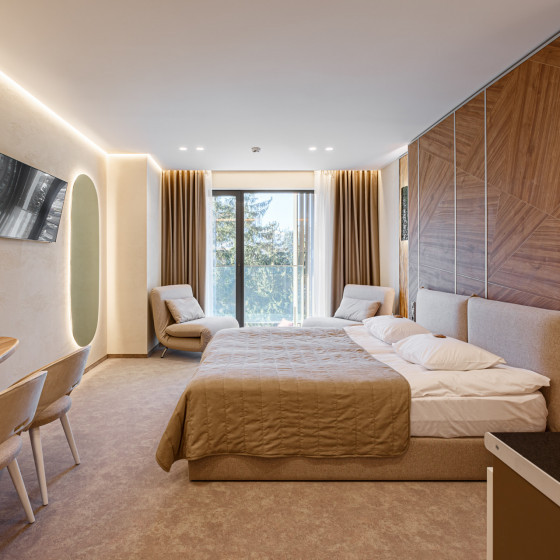 Покращені апартаменти з видом на гори та доступом до спа-центру